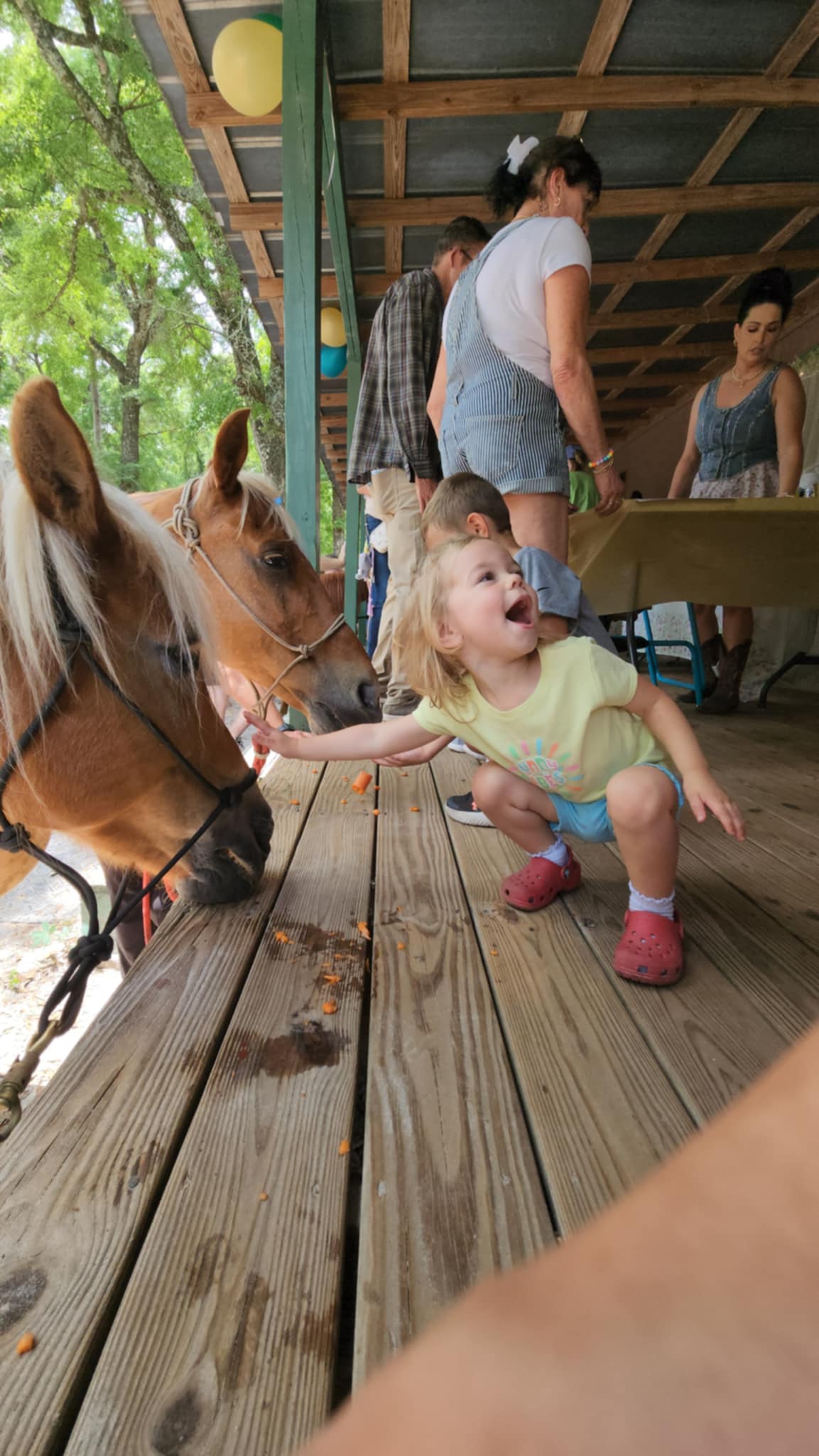 Toddler laughing with horses