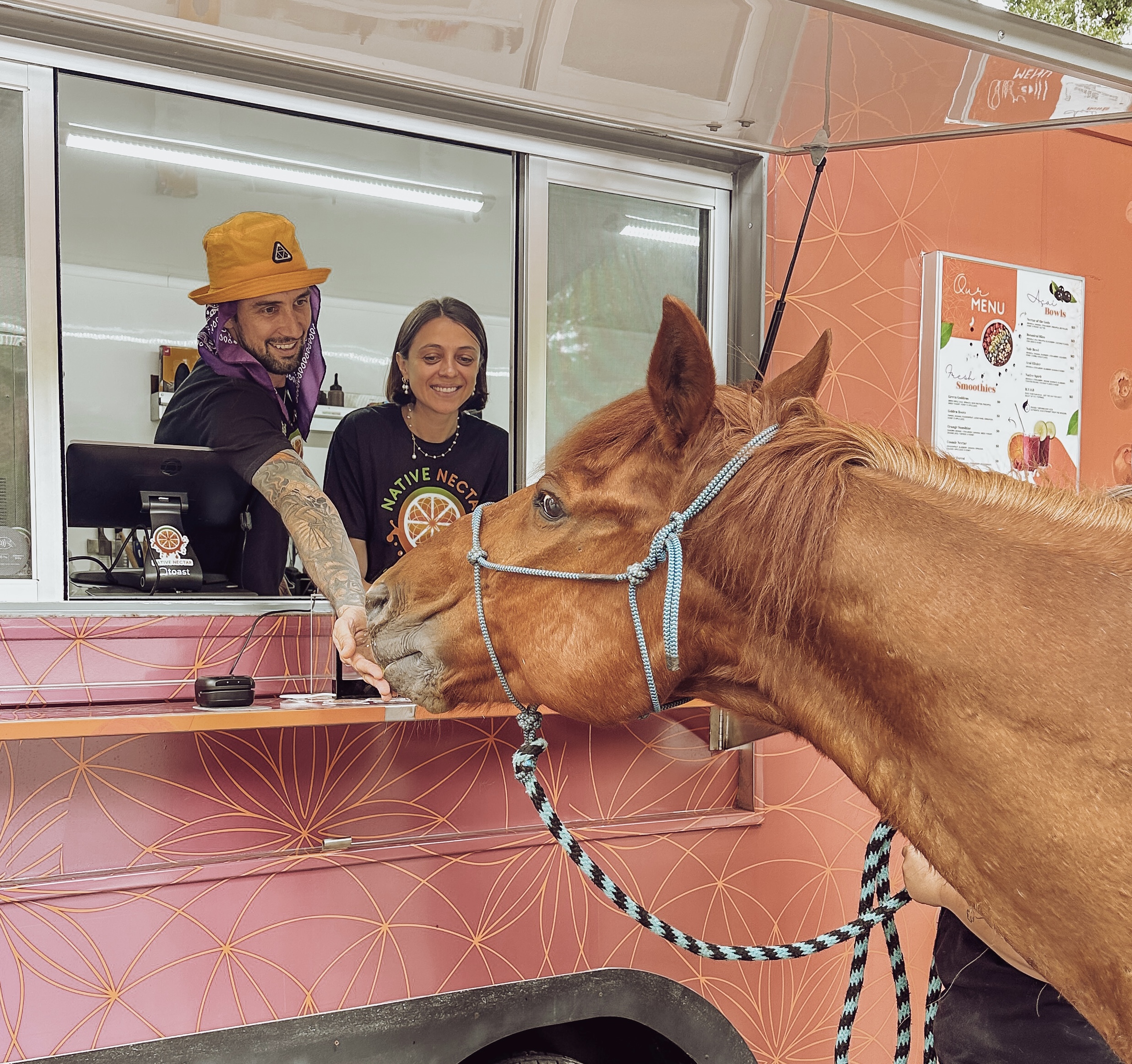 Horse at food truck